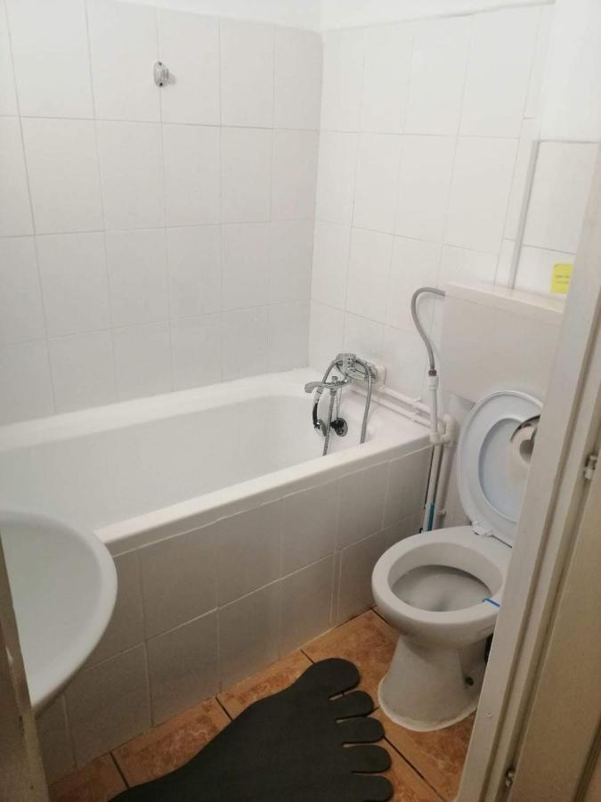 Moss's Economy Apartment Timişoara