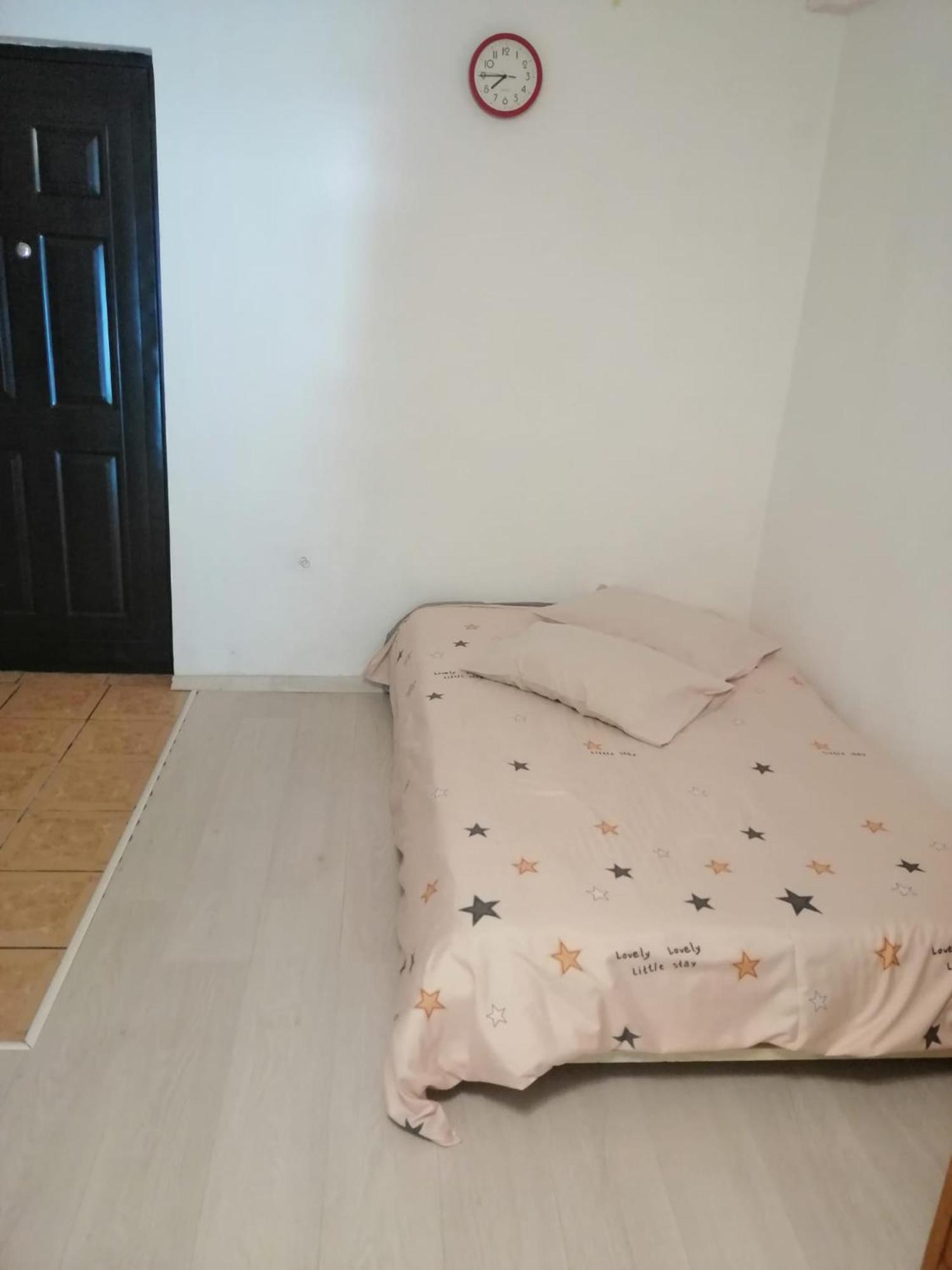 Moss's Economy Apartment Timişoara